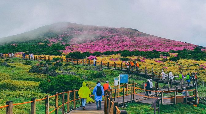 Wisata Alam Menakjubkan Di Korea Yang Harus Di Jelajahi 2026