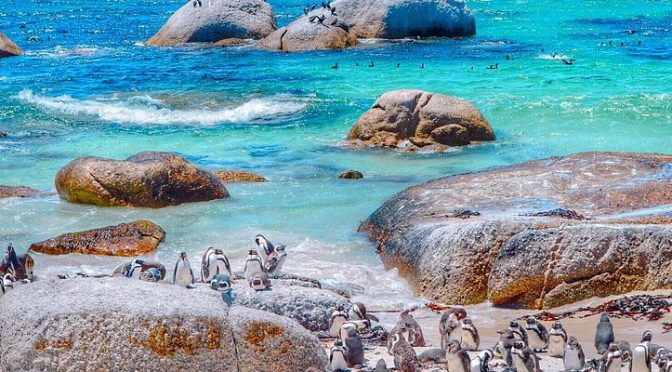 Wisata Afrika Selatan Menemukan Keindahan Pantai